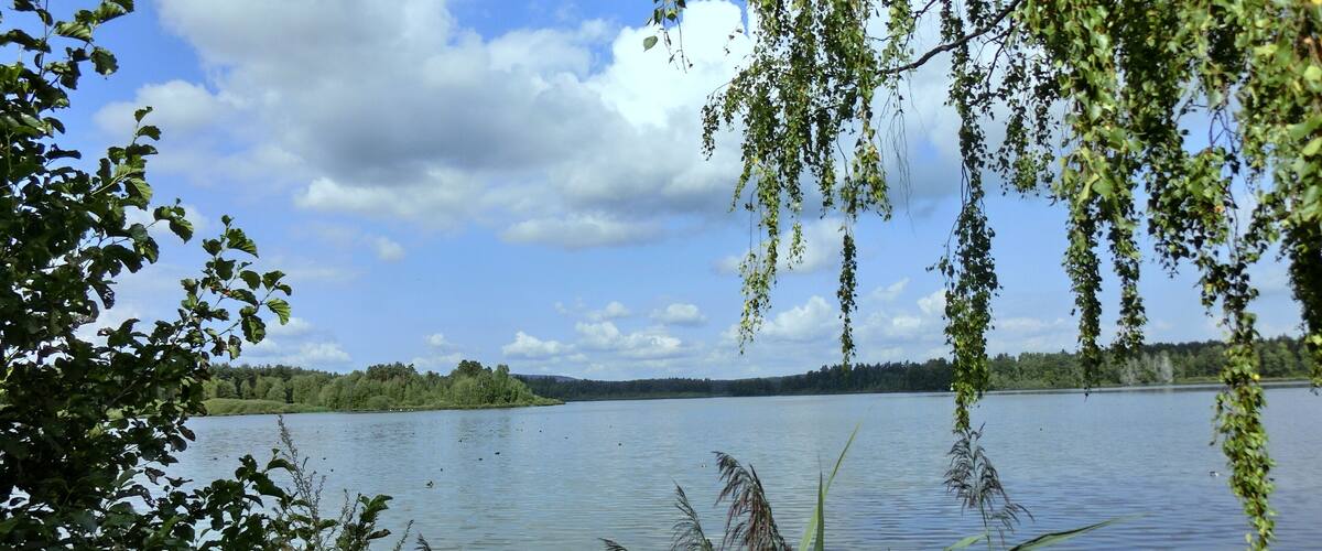 A calm lake with surrounding greenery and a clear sky.