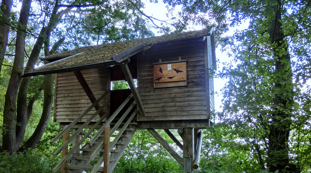 Vogelbeobachtungsstation Großer Rußweiher