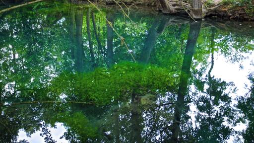 Naturdenkmal "Kühles Loch"