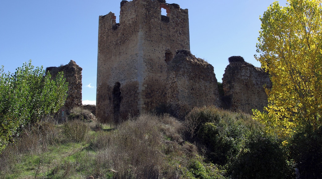 Villapadierna castle, Cubillas de Rueda (León, Spain).