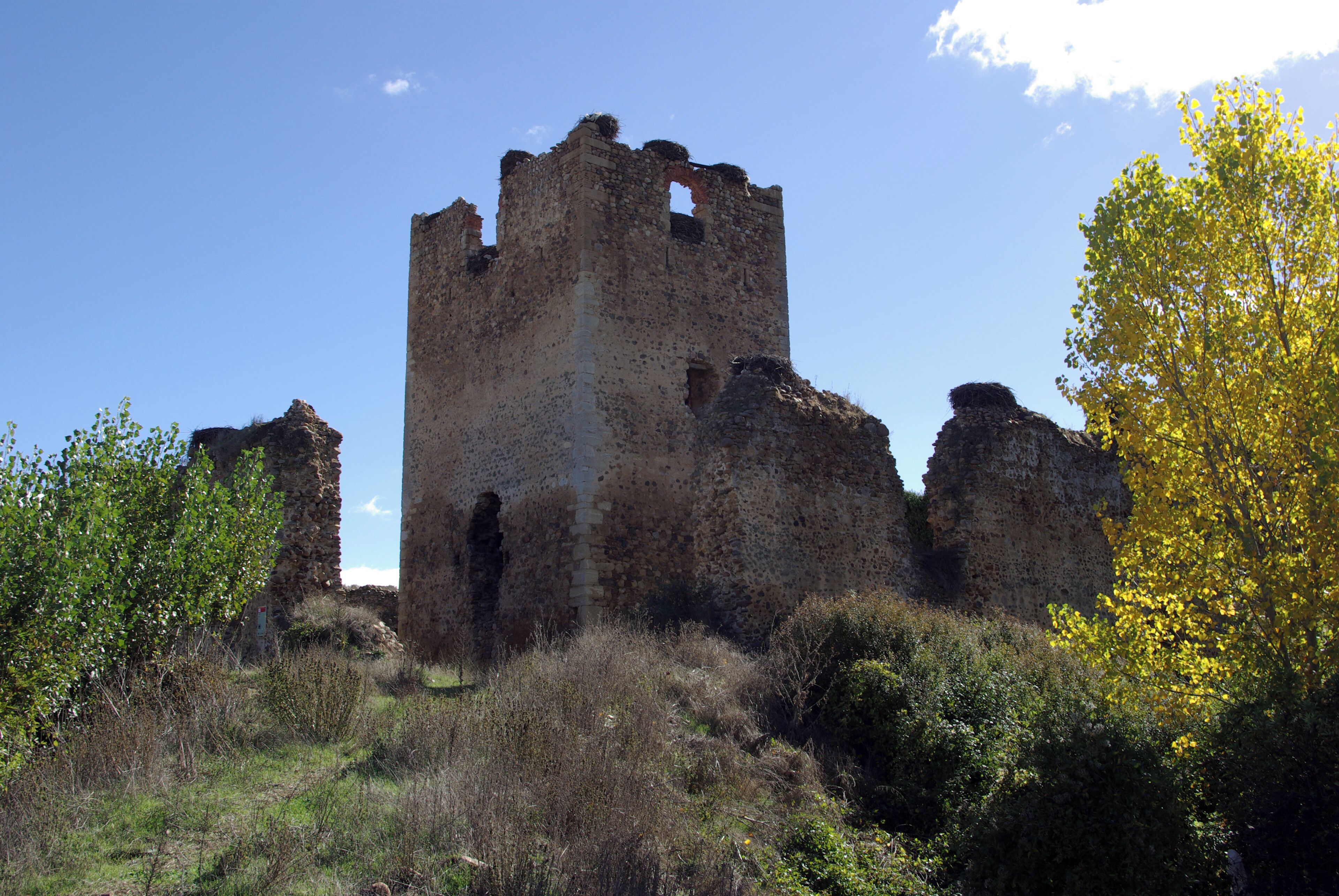 A medieval castle ruin surrounded by trees and vegetation.