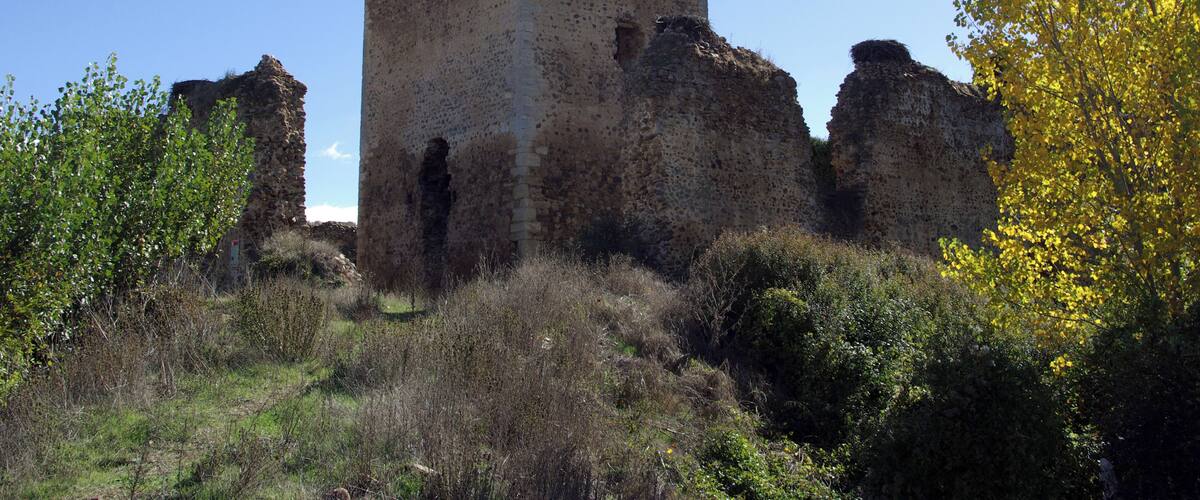 A medieval castle ruin surrounded by trees and vegetation.