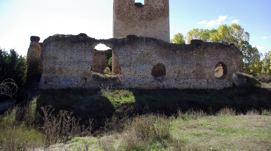 Villapadierna castle, Cubillas de Rueda (León, Spain).