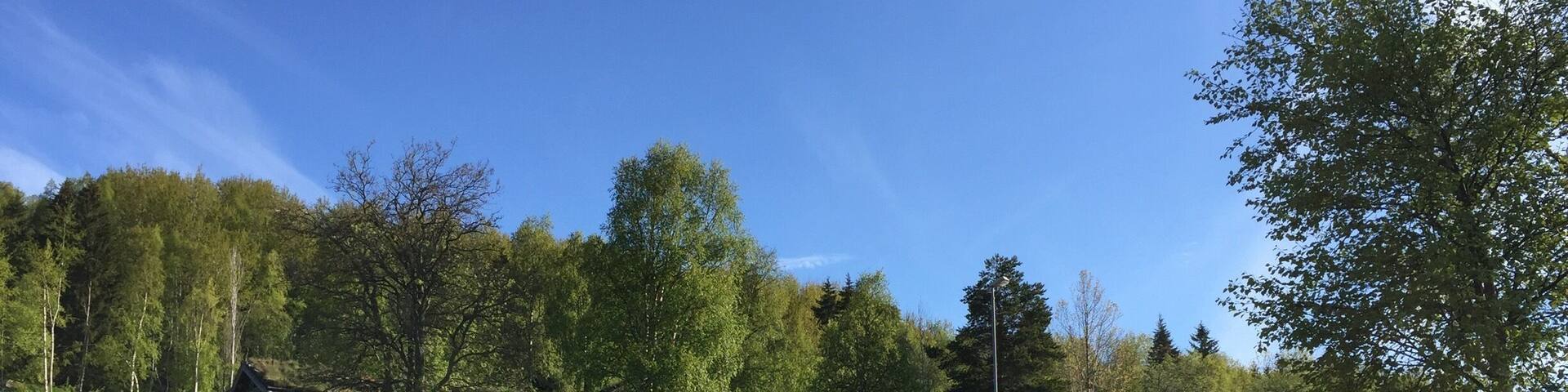 In front of the church. Norway houses.