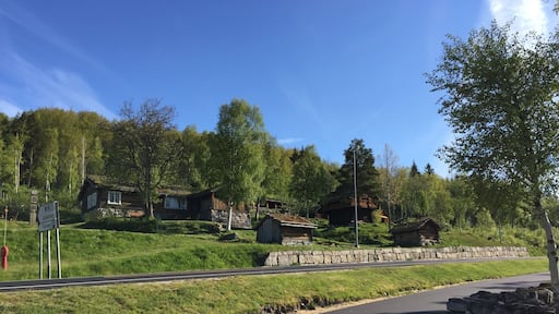 In front of the church. Norway houses.