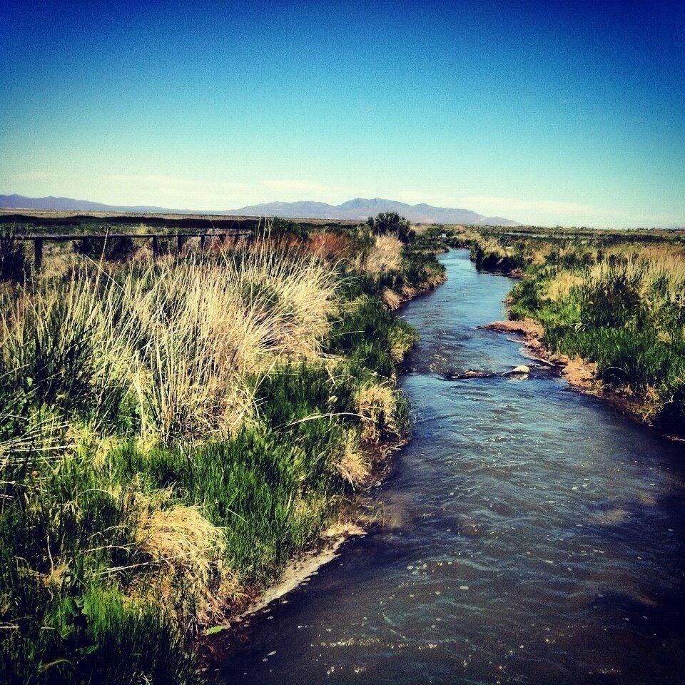 Water in the desert. #creek #oasis
