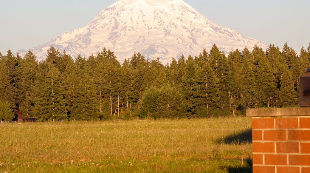 Base Conjunta Lewis-McChord