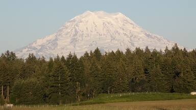 A snow-capped mountain with a forested foreground.