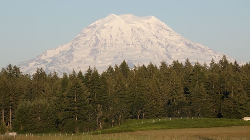 Joint Base Lewis-McChord