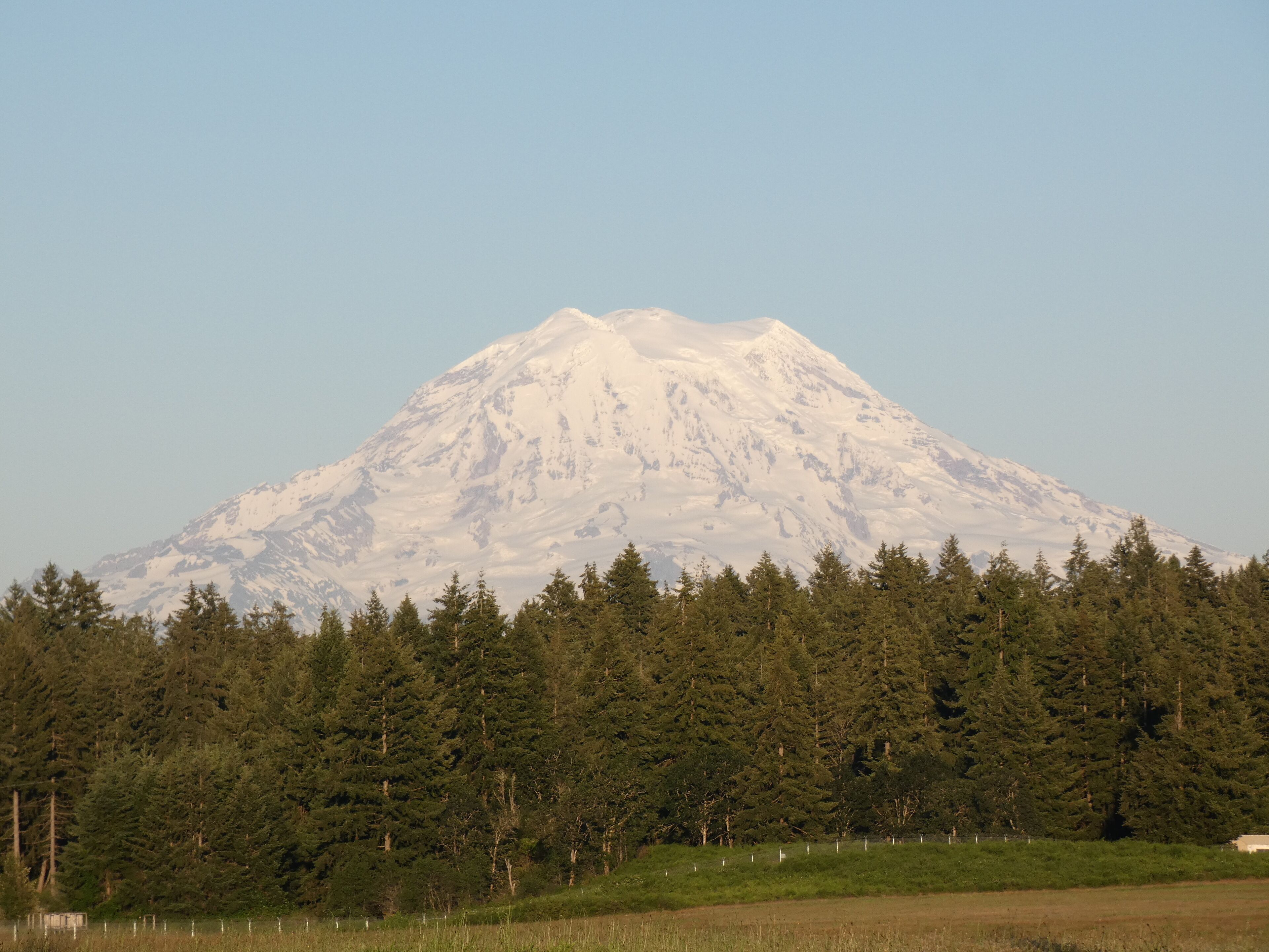 A snow-capped mountain with a forested foreground.