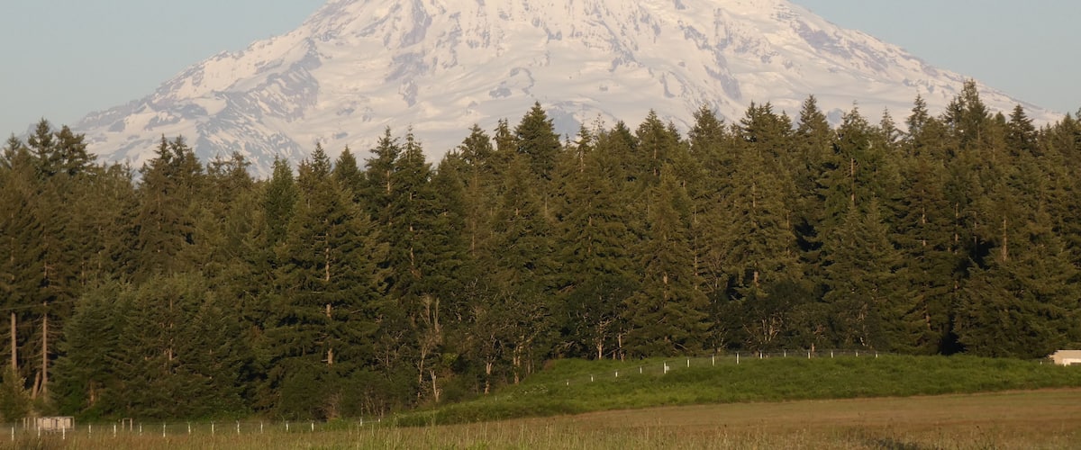 A snow-capped mountain with a forested foreground.