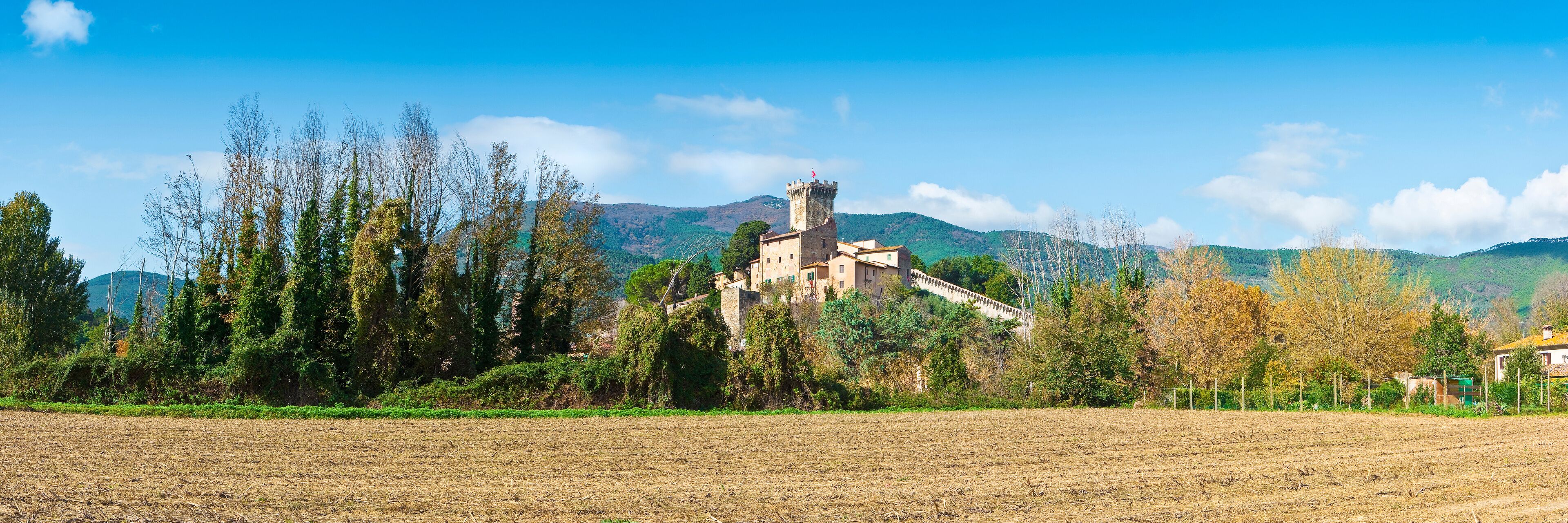A castle surrounded by trees and fields.