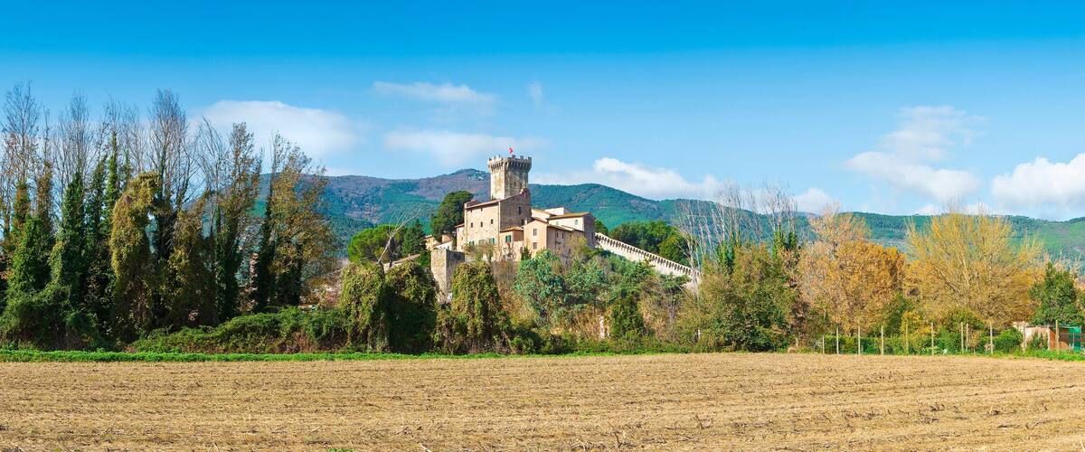 A castle surrounded by trees and fields.