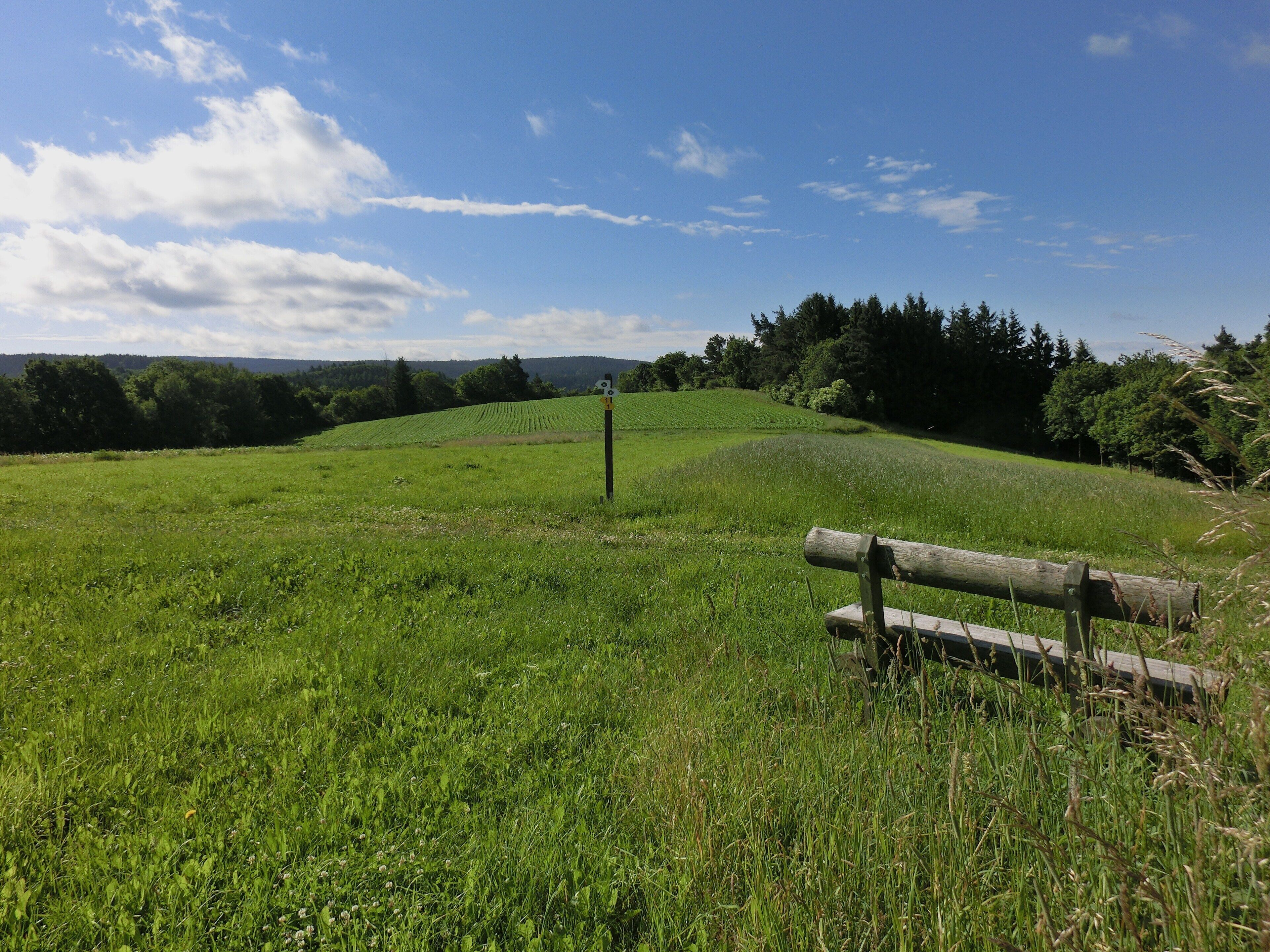 Aussichtsbank auf dem Kapf