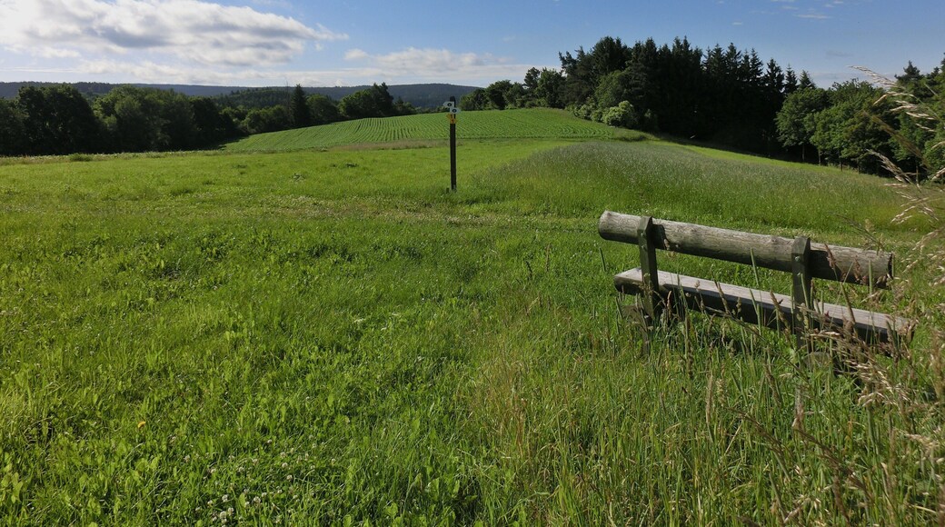 Aussichtsbank auf dem Kapf
