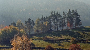 Obererlbach (Haundorf), landscape
