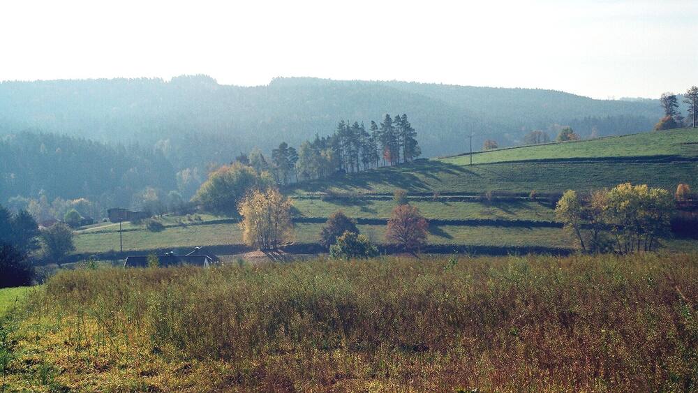 Rolling hills, a distant forest, and a clear sky.