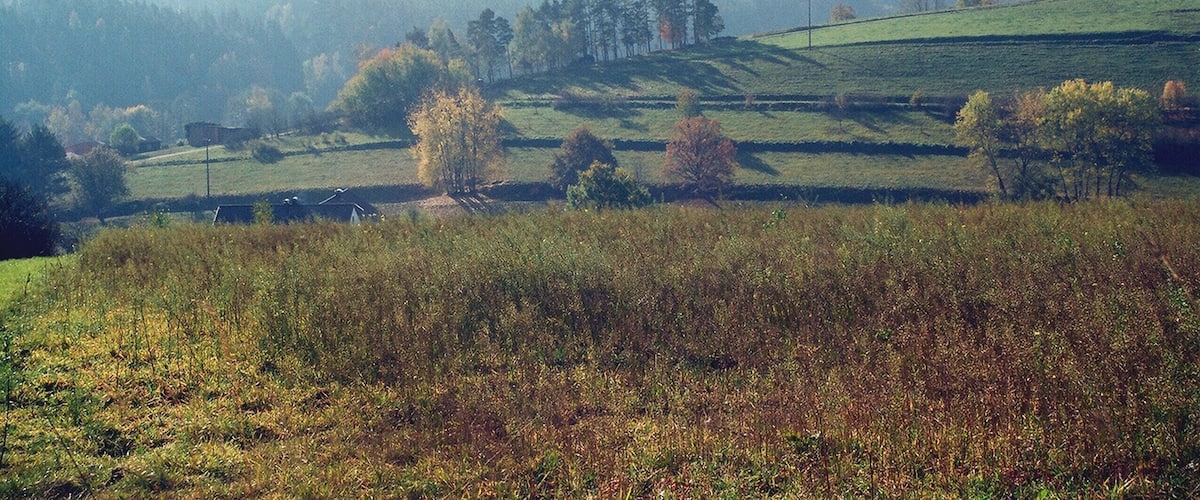 Obererlbach (Haundorf), landscape