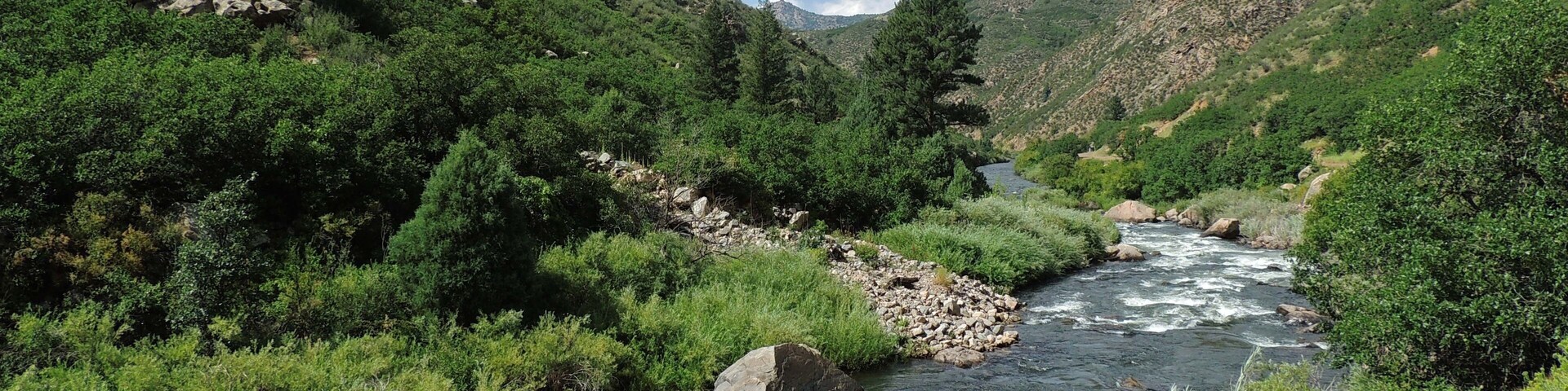 south platte river rapids and scenic foothills in summer in waterton canyon, littleton, colorado