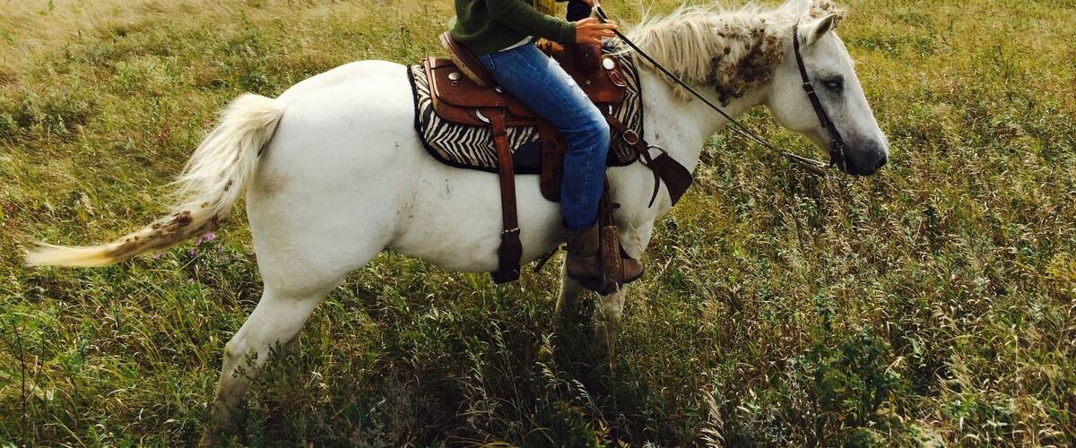 A person riding a white horse in a grassy field with a forested hill in the background.