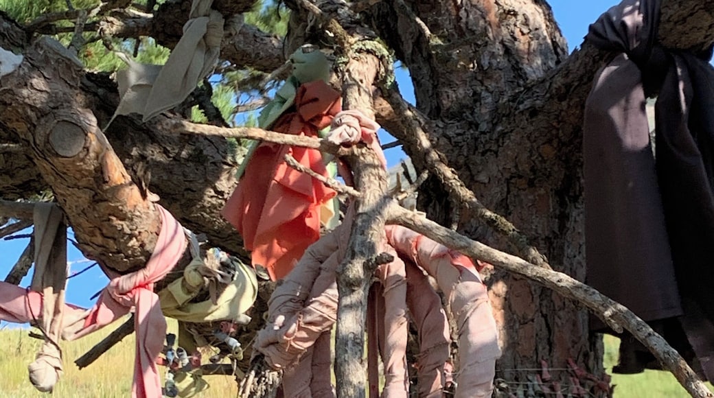 Prayer Flags on Bear Butte. This hike did not disappoint.