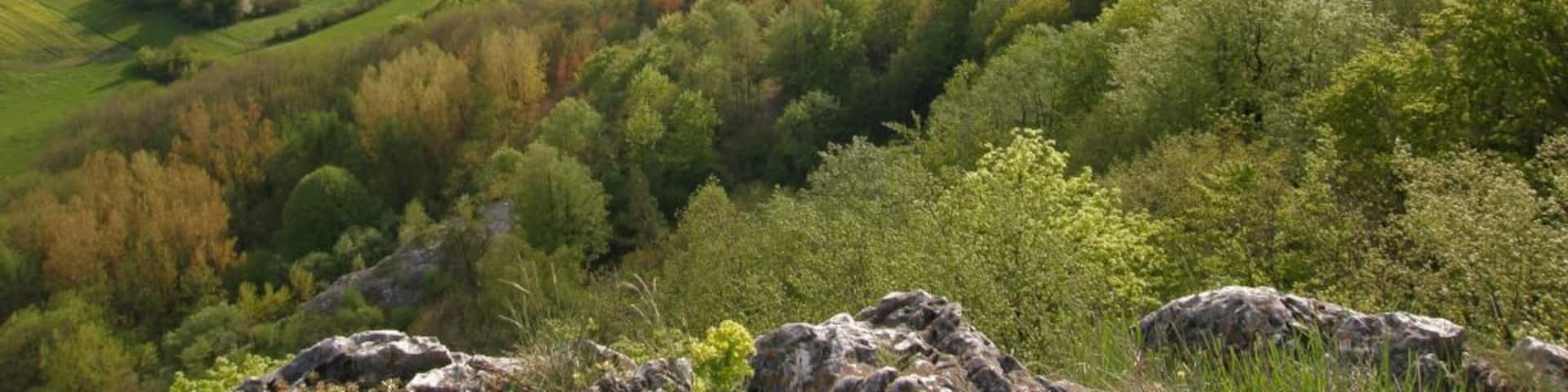 Happurger Stausee Ansicht vom Houbirg