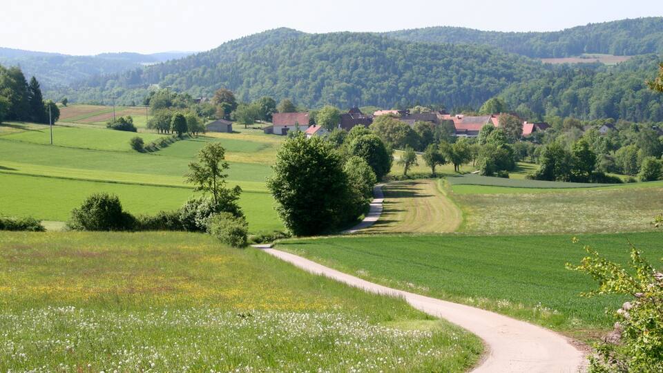 A winding country road through a rural landscape with green fields, scattered trees, and a village in the distance.