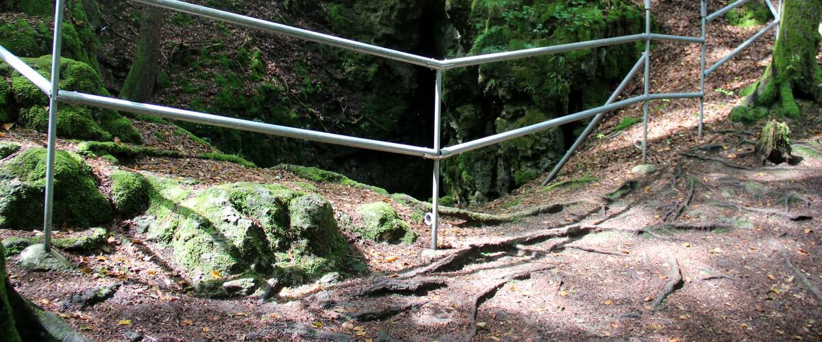 A forested area with a metal railing and a signpost.