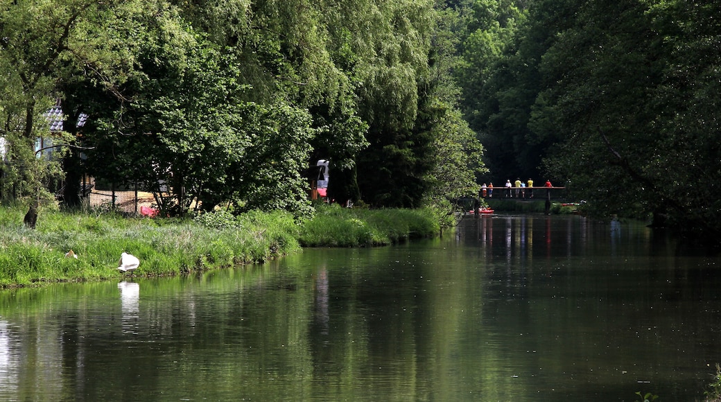 Pegnitz bei Rupprechtstegen