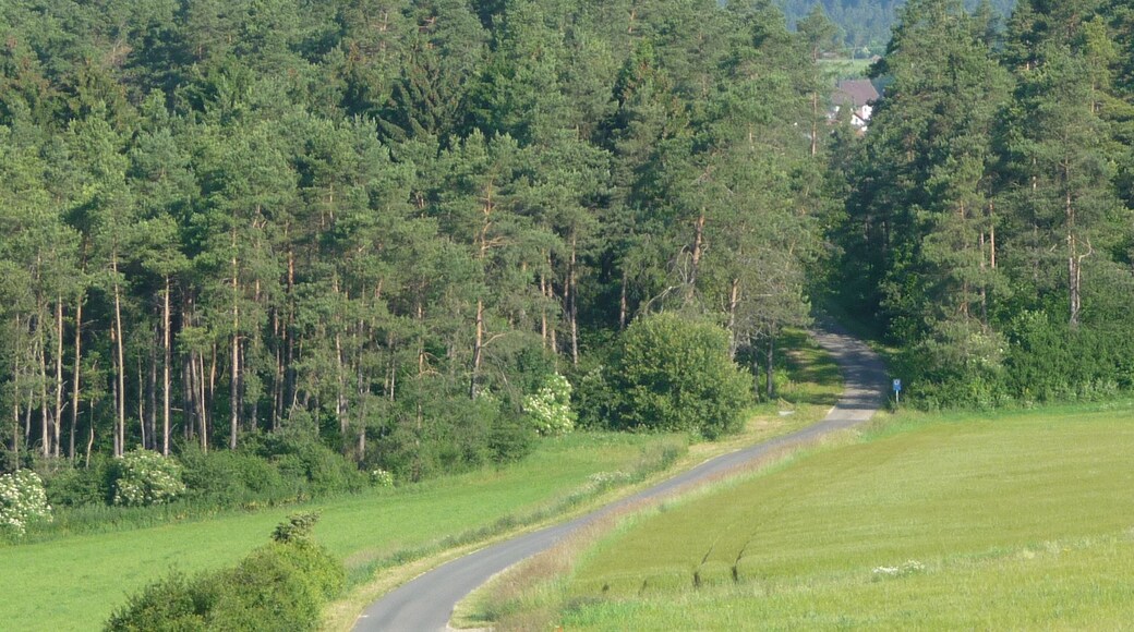 Weg nach Laibarös