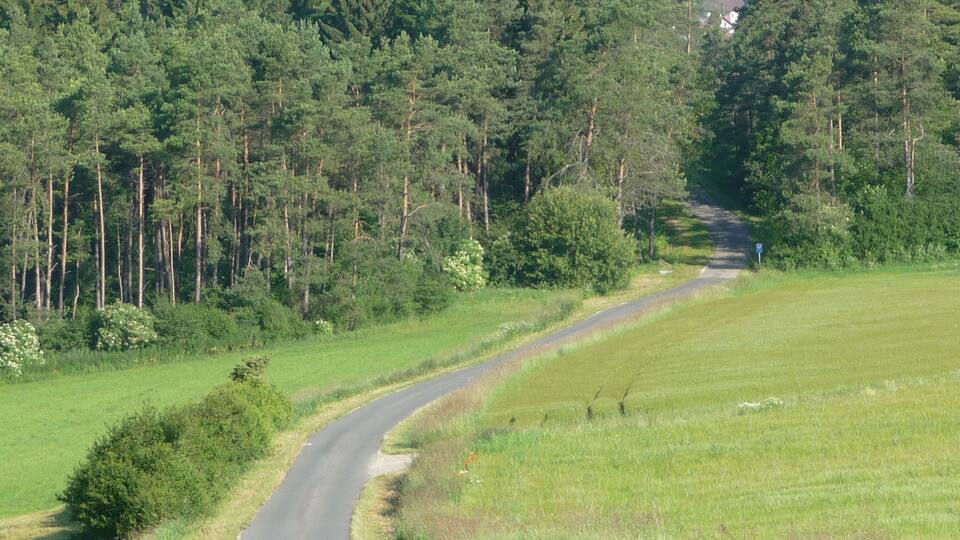 A curving country road surrounded by dense forests and open fields.