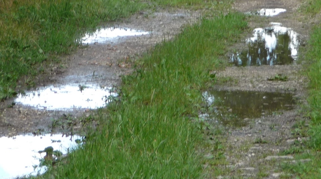 Hohenpölz, 91332 Heiligenstadt i.OFr., Germany