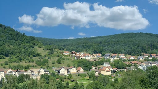 Heimbuchenthal