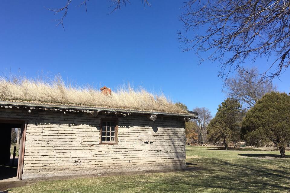 A rustic log cabin with a thatched roof and a chimney, surrounded by a grassy field and trees.