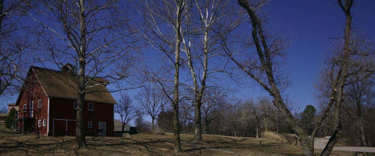 A red barn, leafless trees, and a clear blue sky.