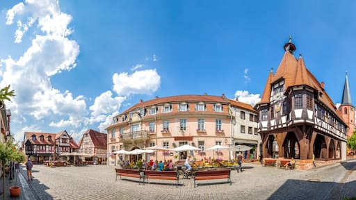 Michelstadt, Odenwald, Rathaus