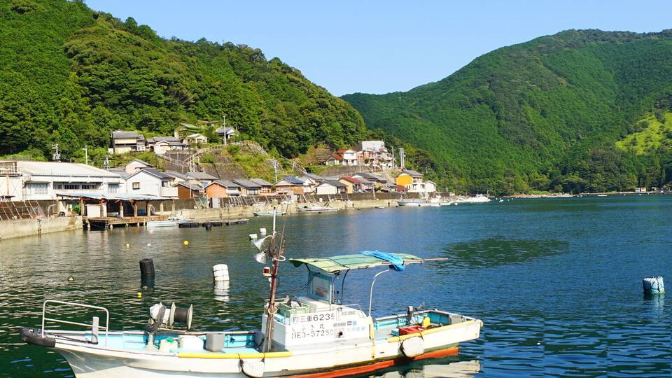 A coastal village with houses along the waterfront, boats docked, and lush green hills in the background.