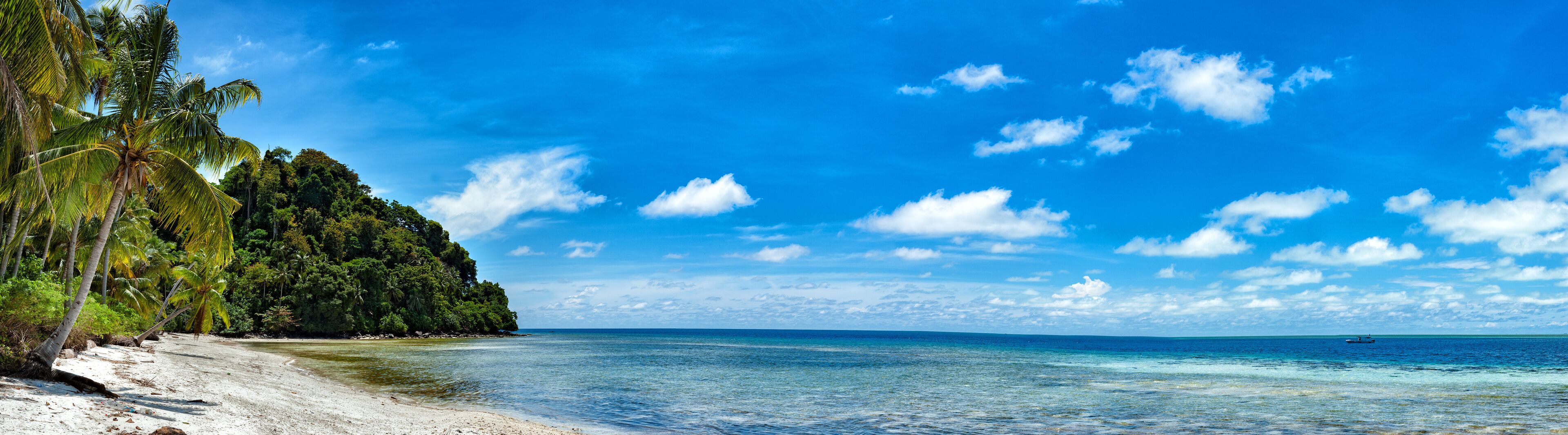 Una playa con agua turquesa cristalina, arena blanca y palmeras.