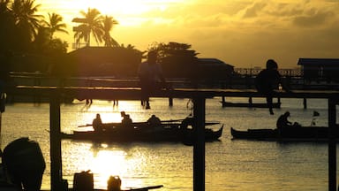 Malaysia showing a sunset, tropical scenes and a coastal town