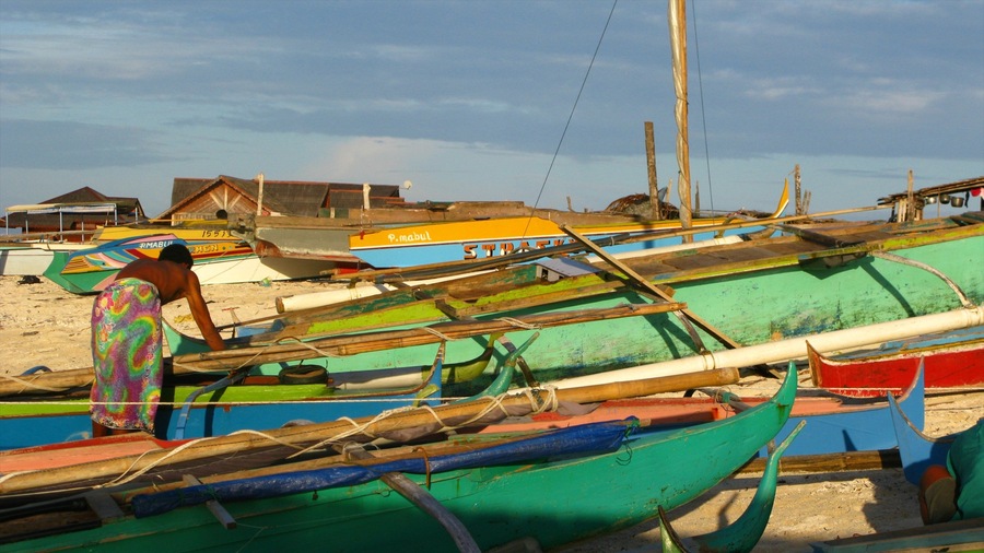 Malaysia showing a beach, boating and a coastal town