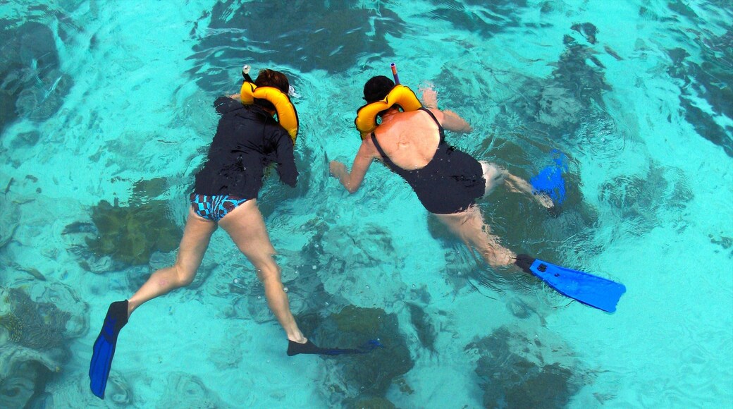Mabul Island featuring snorkeling and swimming