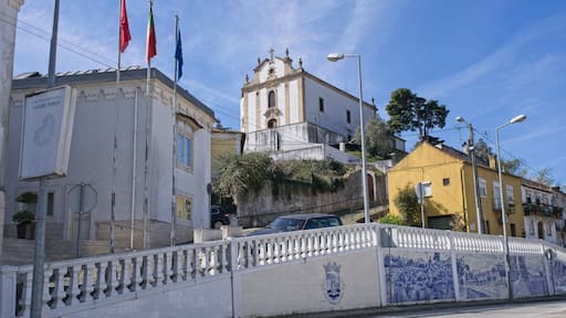 ๋ฏธ๋๋ค ๋ ์ฝ๋ฅด๋ถ