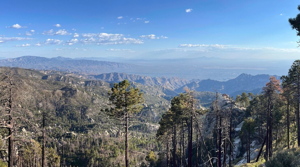 View south from Mount Lemmon in Coronado National Forest Arizona