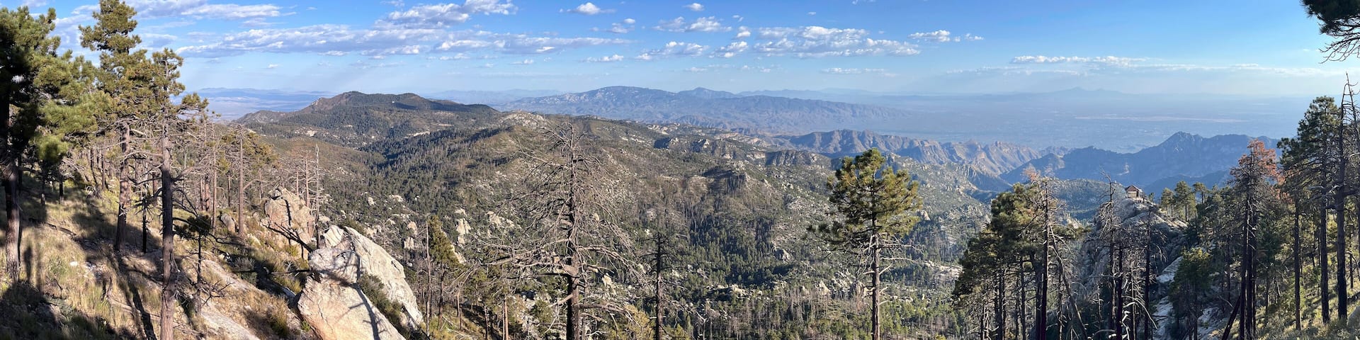 View south from Mount Lemmon in Coronado National Forest Arizona