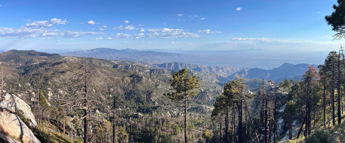 A mountainous landscape with dense forests and rocky terrain.