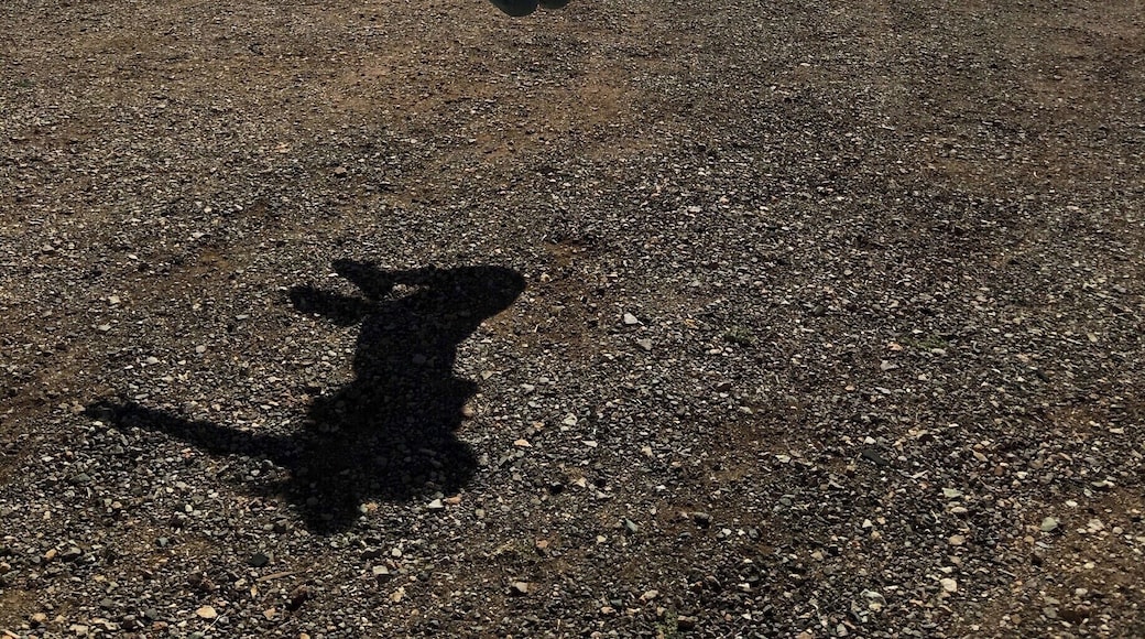 The best part of driving across the country is stopping at state welcome signs!