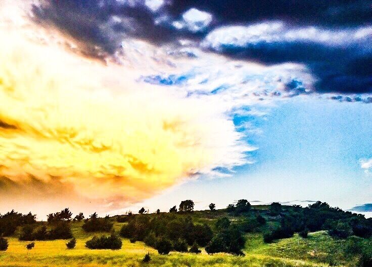 Clouds over switchgrass trails at Wilson lake