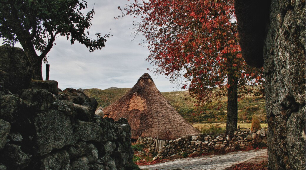 Piornedo HDR (1/11/2011)