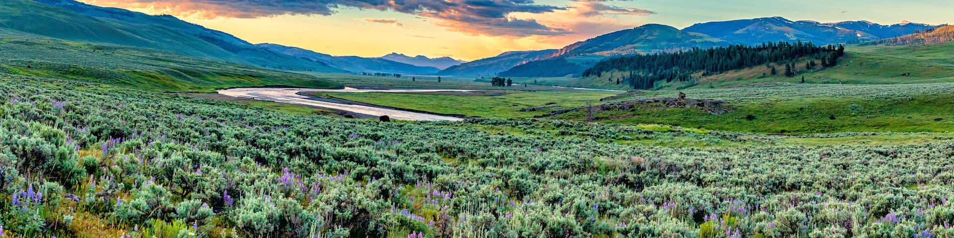 Lamar River Yellowstone