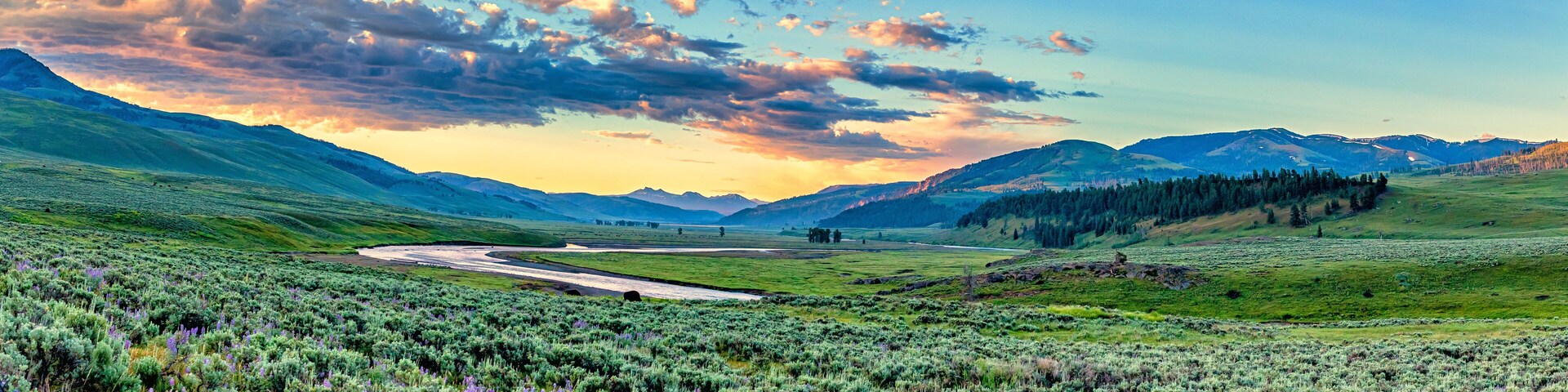 Lamar River Yellowstone